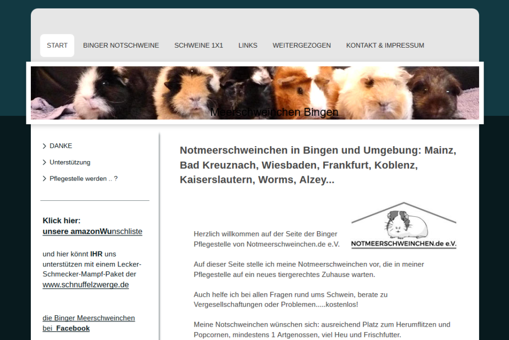 meerschweinchen-bingen.png