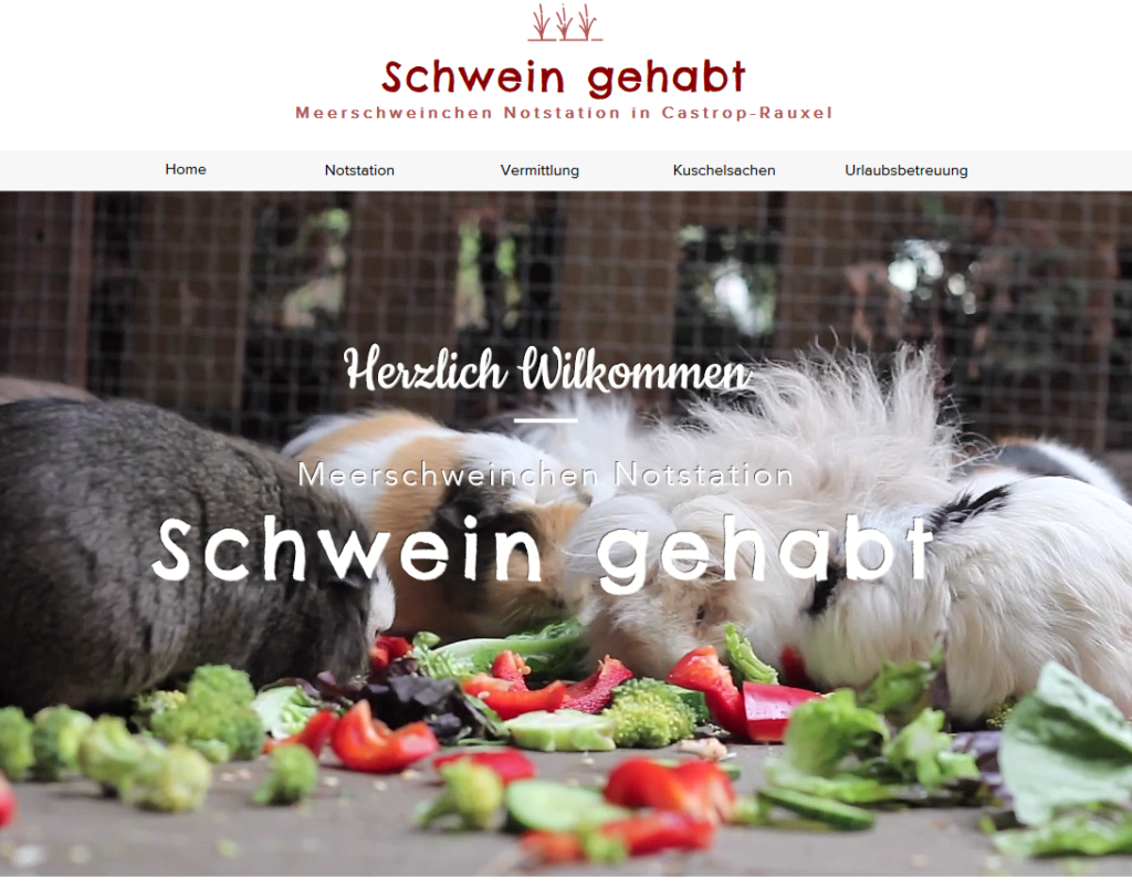 schwein-gehabt.png