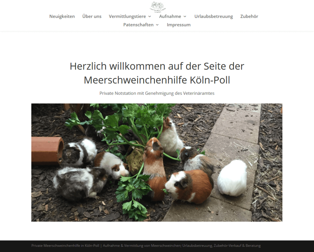 meerschweinchenhilfe-koeln-poll.png