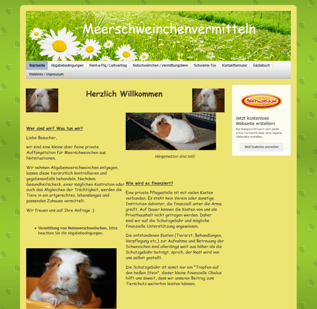 meerschweinchenvermittlung-bad-schalbach.png