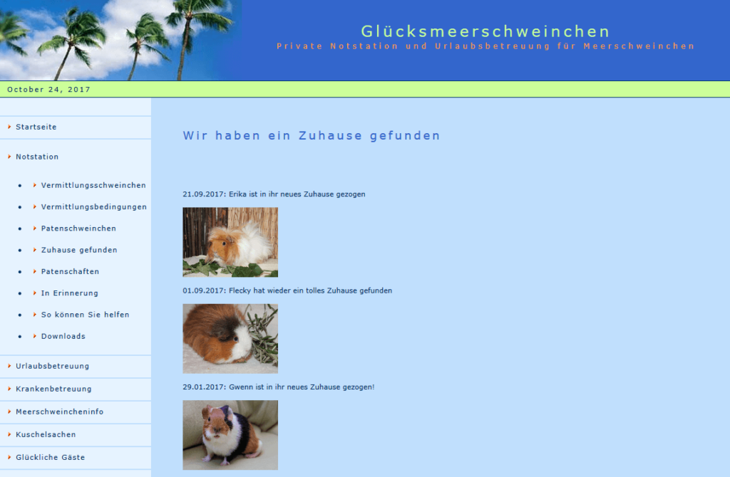 gluecksmeerschweinchen.png