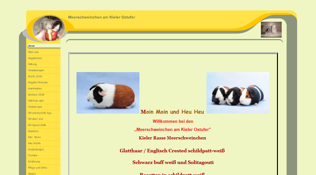 meerschweinchen-am-kieler-ostufer.png
