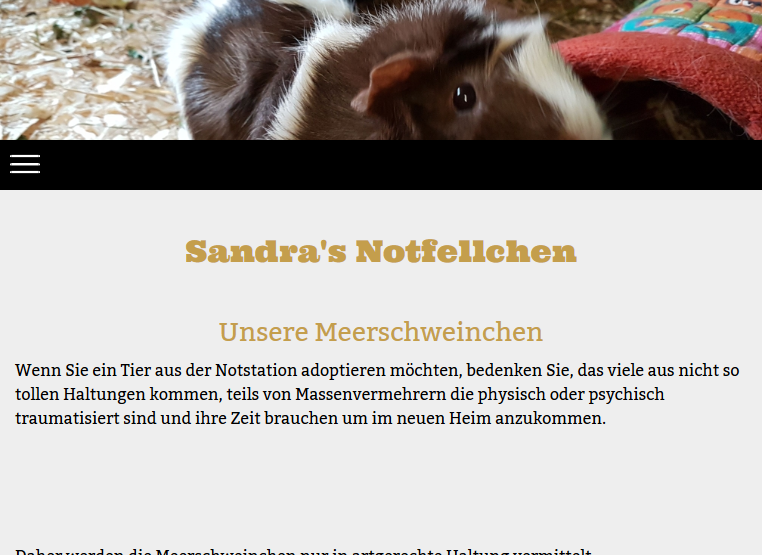sandras-notfellchen.png
