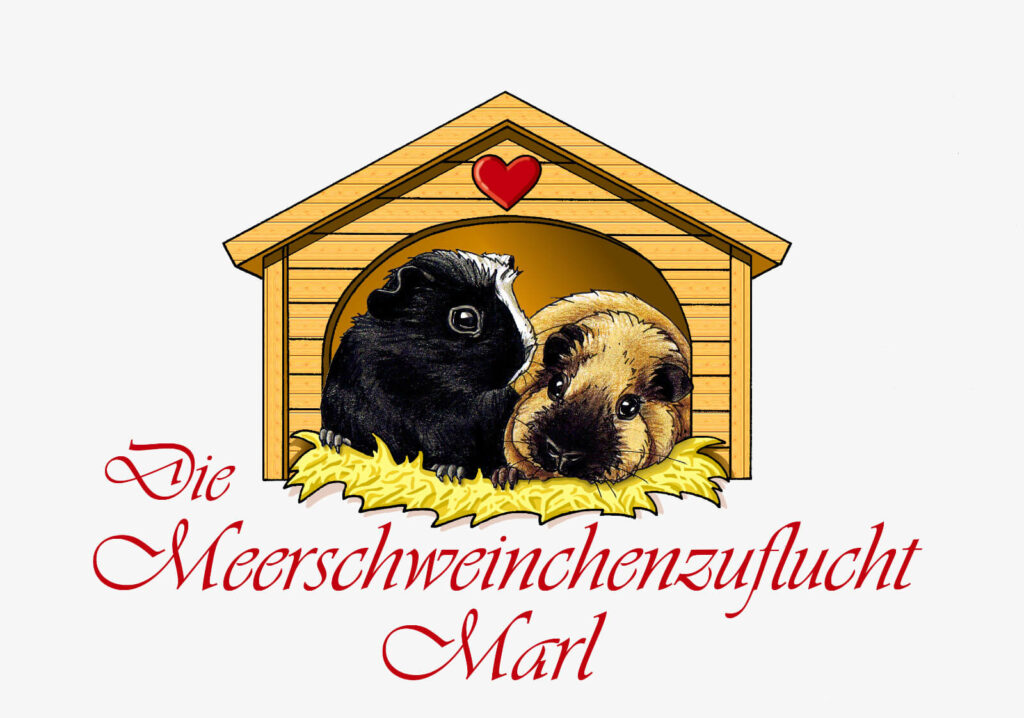 meerschweinchenzuflucht-marl-1.jpg