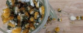 Kräuter und Blüten selber trocknen für die Winterfütterung
