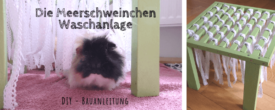 Die Meerschweinchen-Waschanlage: DIY Bauanleitung mit Infografik