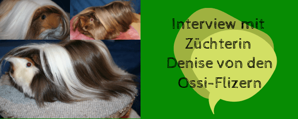 Interview mit Züchterin Denise von den Ossi-Flizern